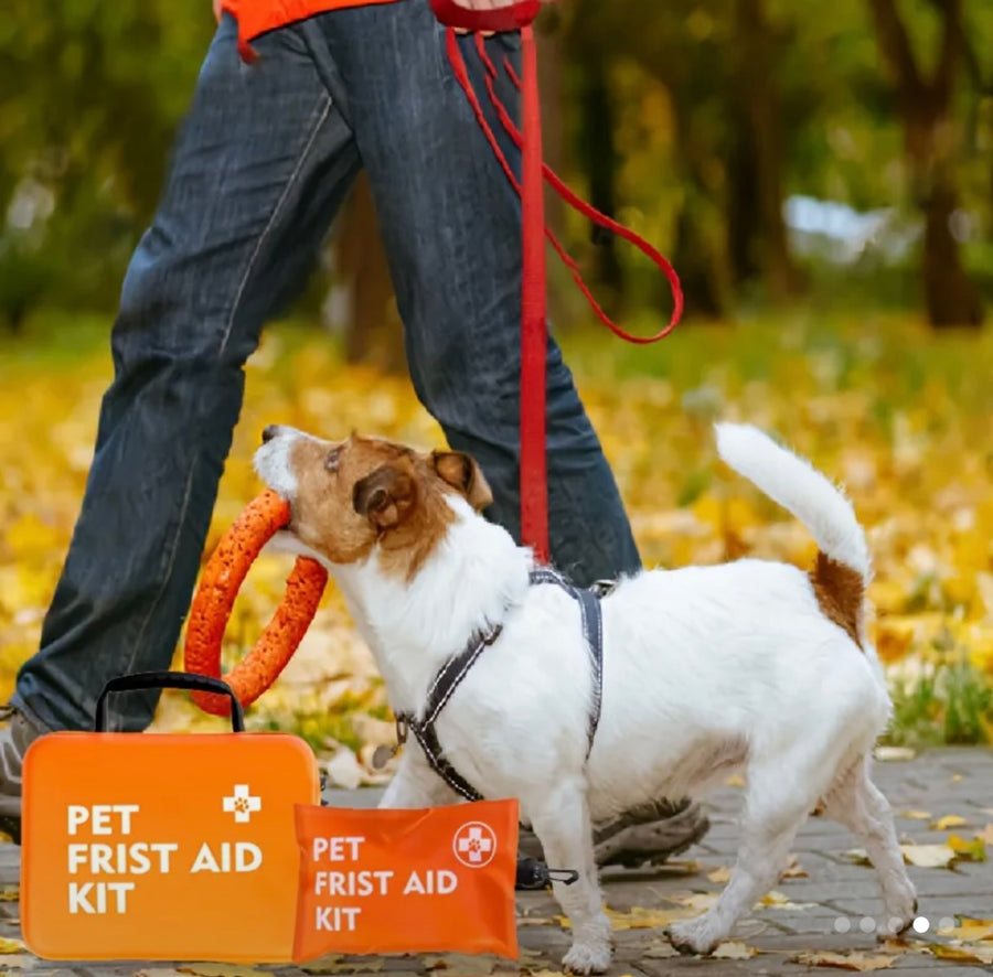15pcs Pet First Aid Kit. Ideal for preppers!